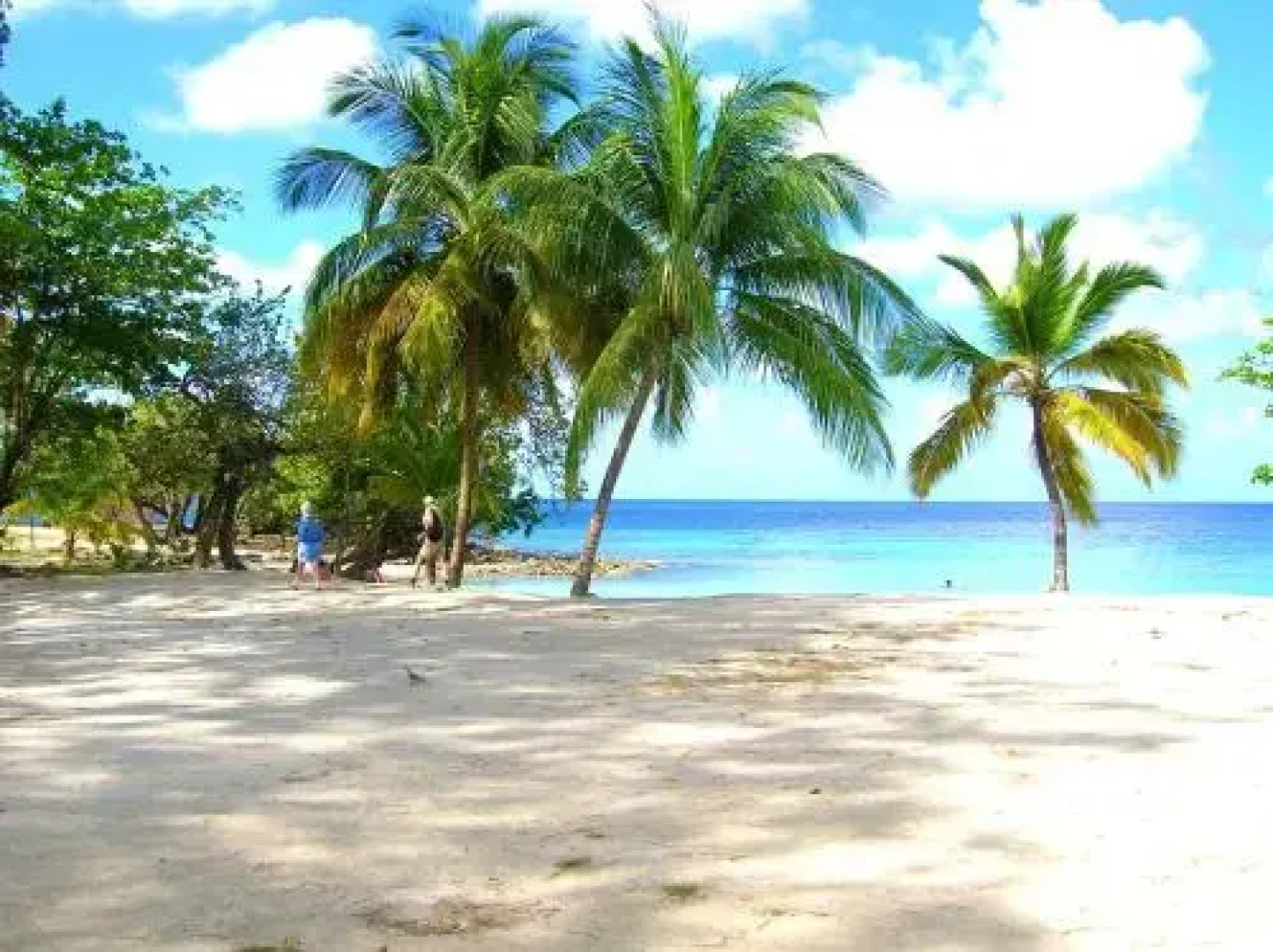 Apartment Borel - Le Marin