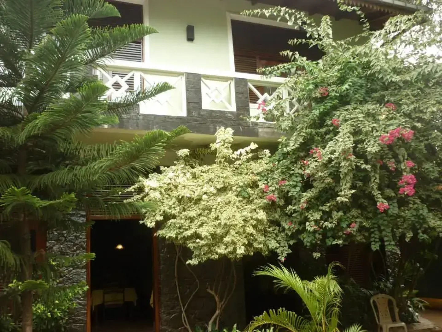 Rice of Life by Tissa Inn