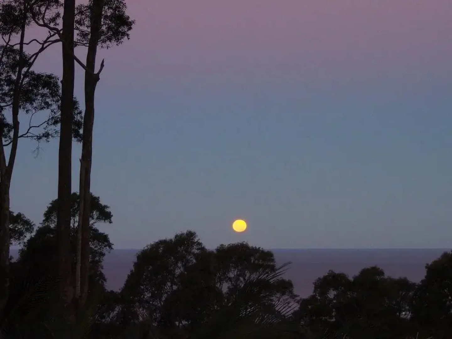 Bundle Hill Cottages