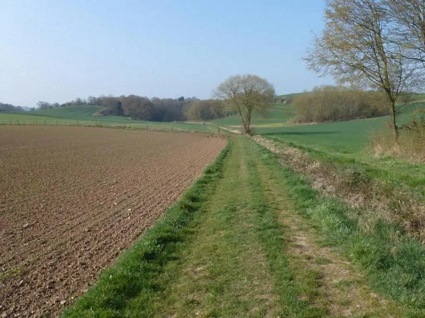 Ferienwohnung Kramer