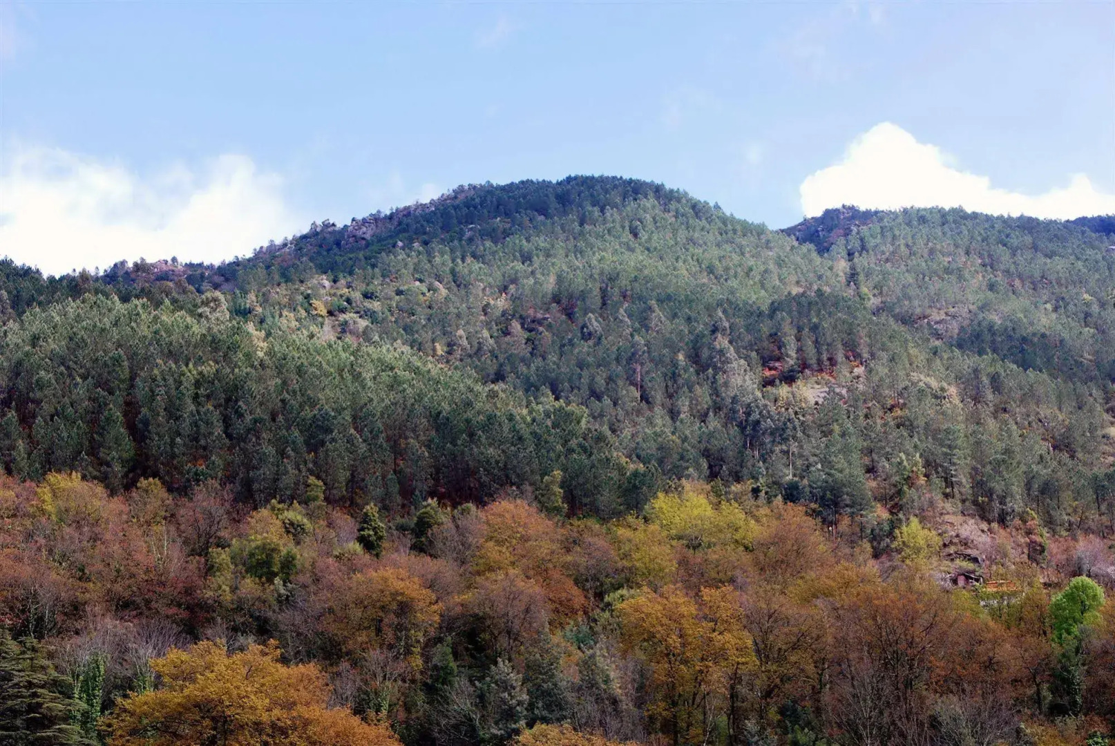Hotel Carvalho Araújo