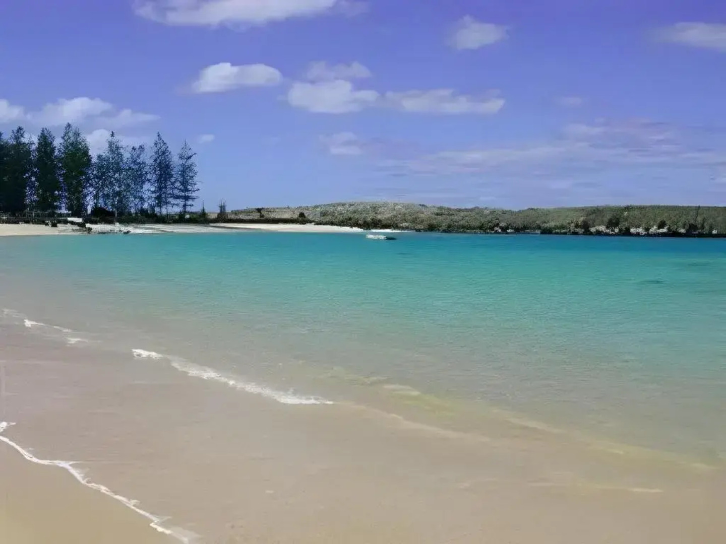 Hibiscus Regal Apartments