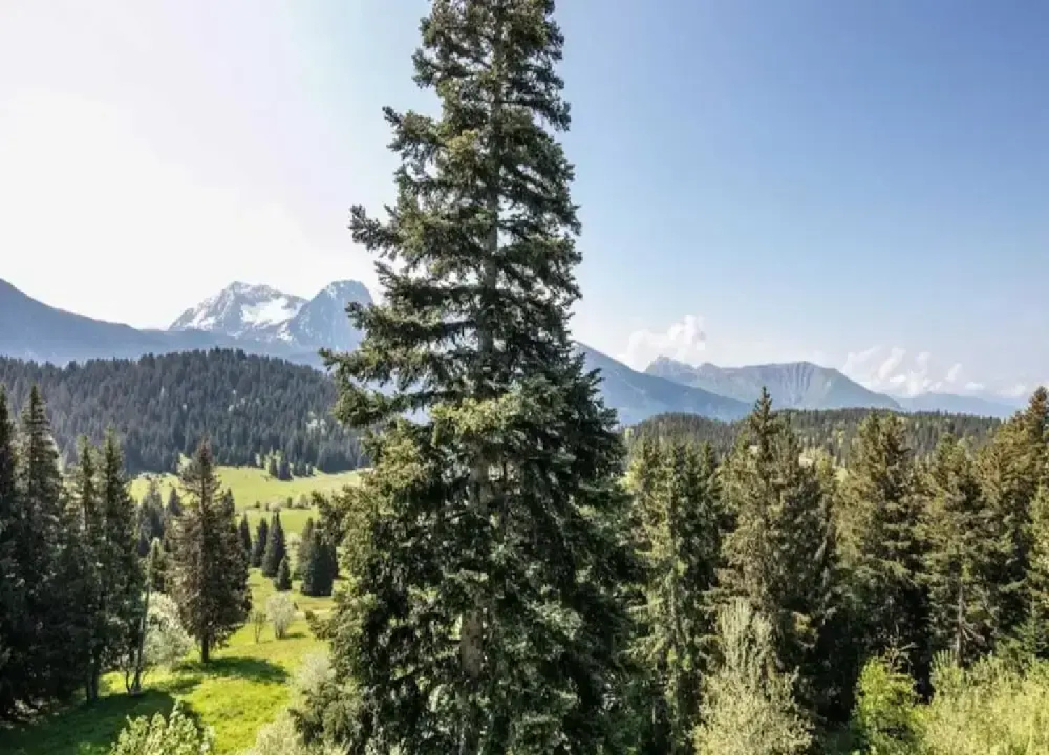 Studio in Chamrousse Near Ski Resort