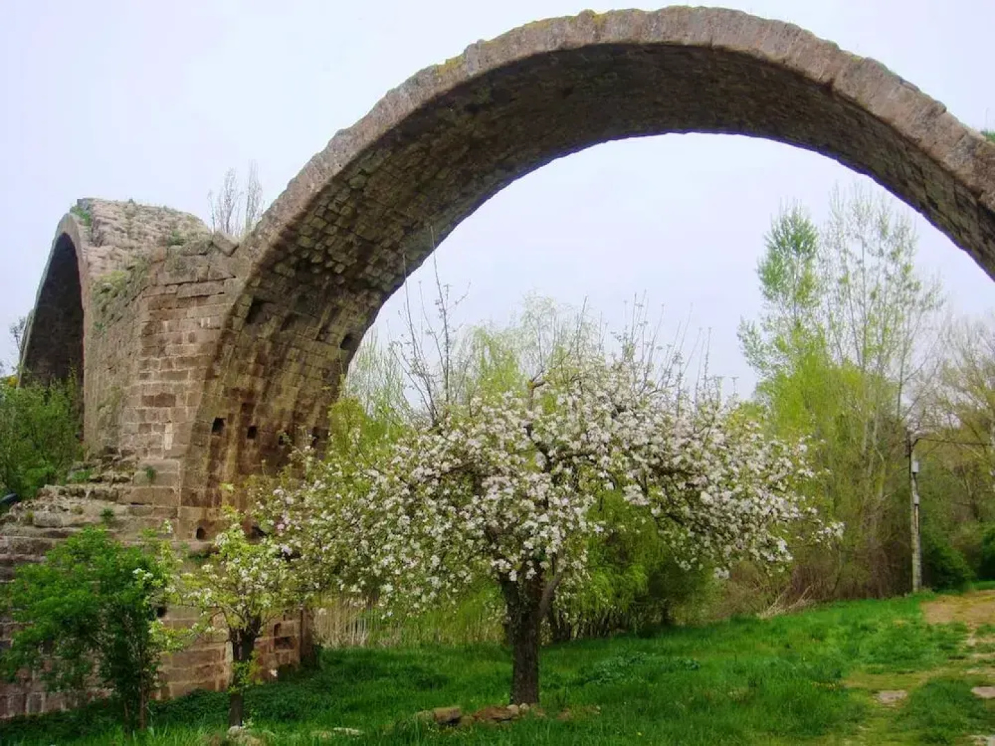 Apartment With 3 Bedrooms in Cardona, With Wonderful City View, Enclosed Garden and Wifi