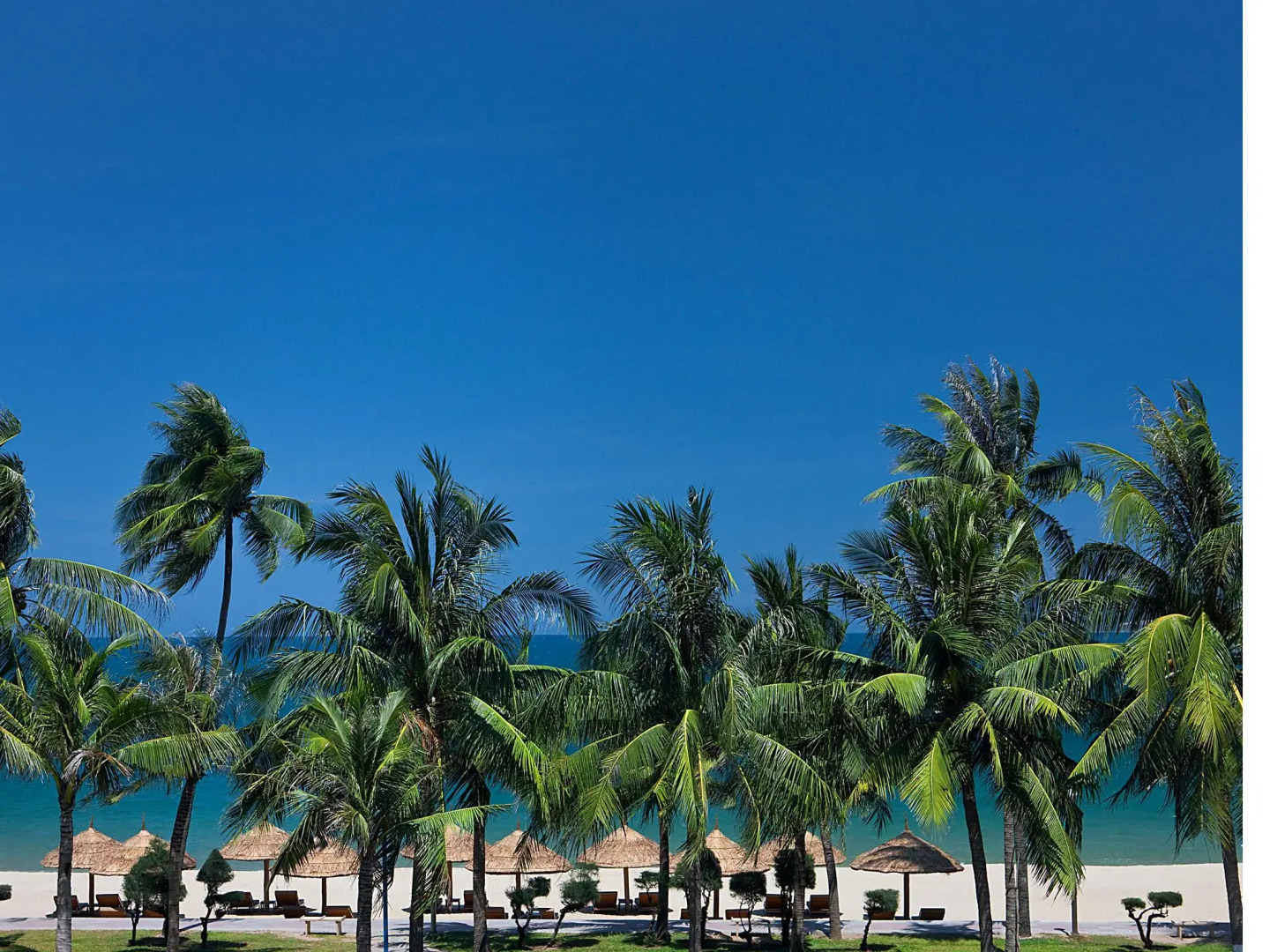 Sheraton Nha Trang Hotel & Spa