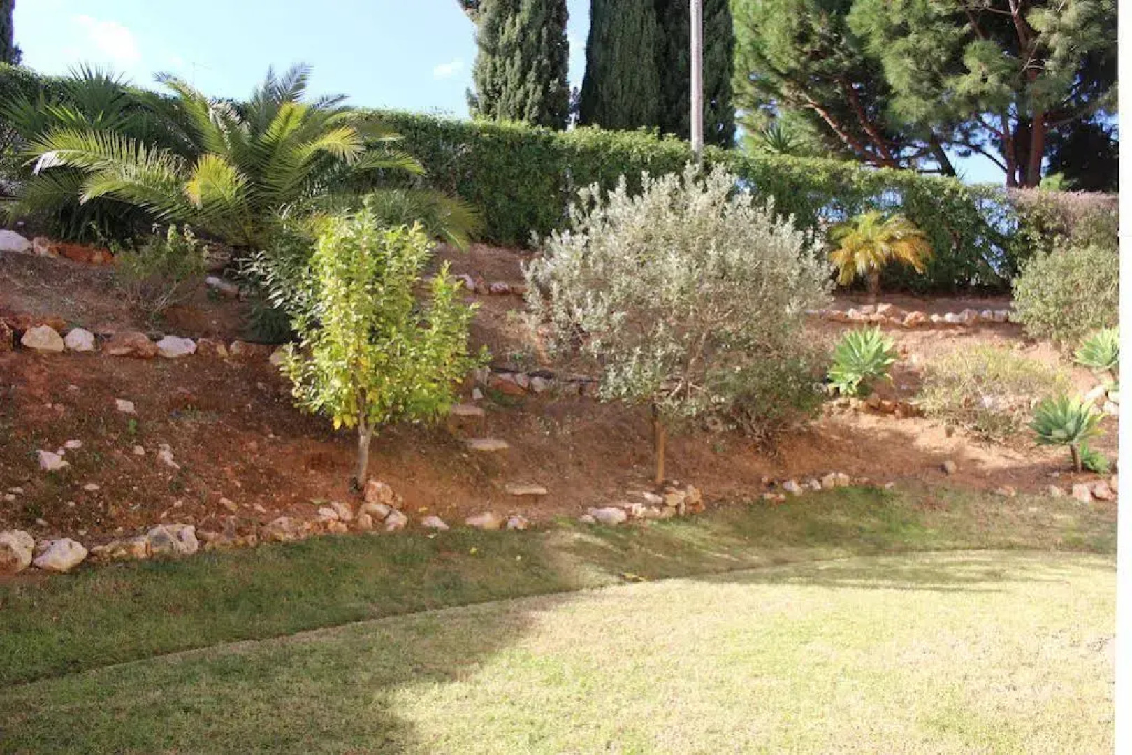 Apartamentos Dom Fernando