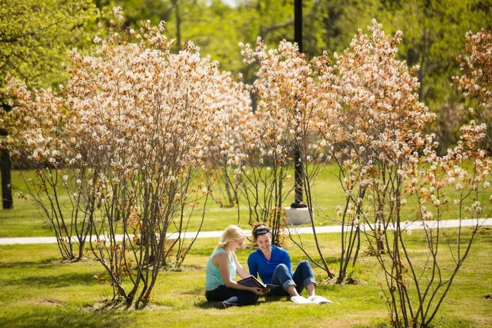 UNB Saint John Summer Hotel