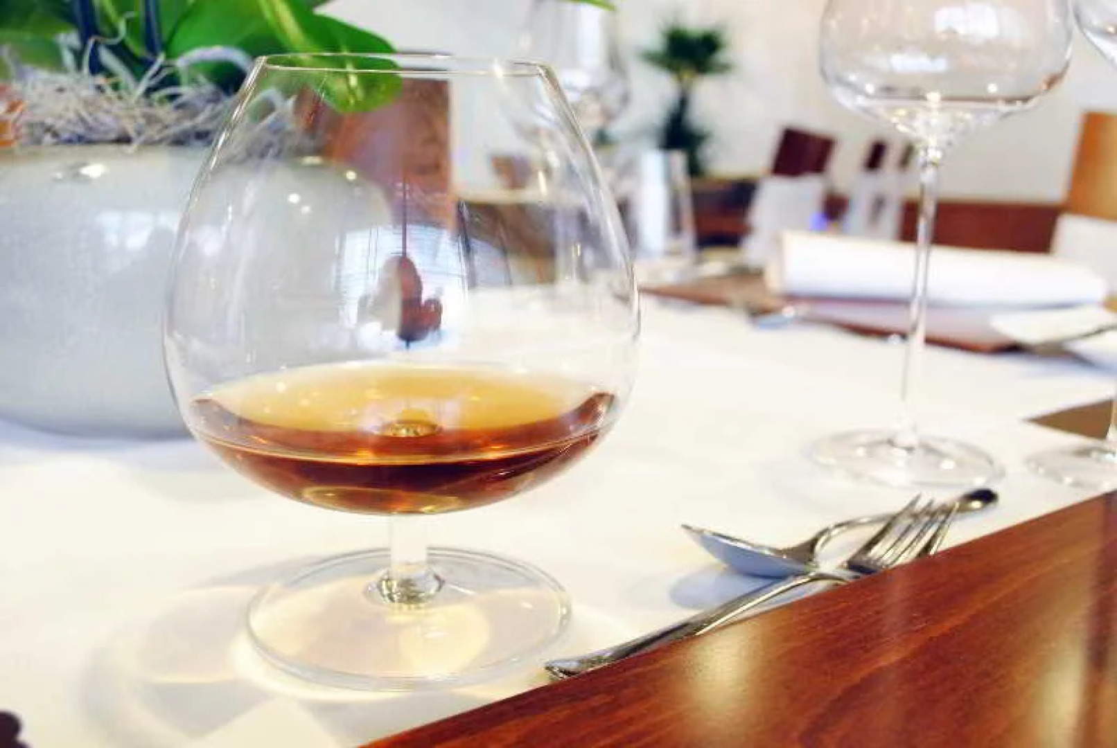 Perla, Resort & Entertainment