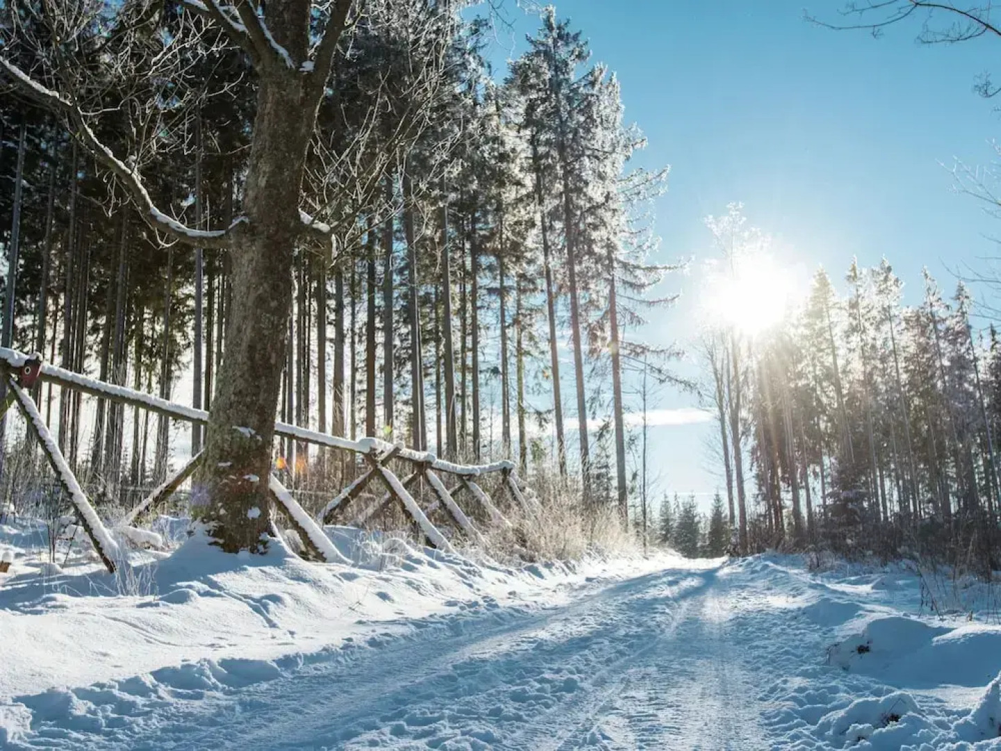 Comfortable Apartment With Balcony, Storage and Parking