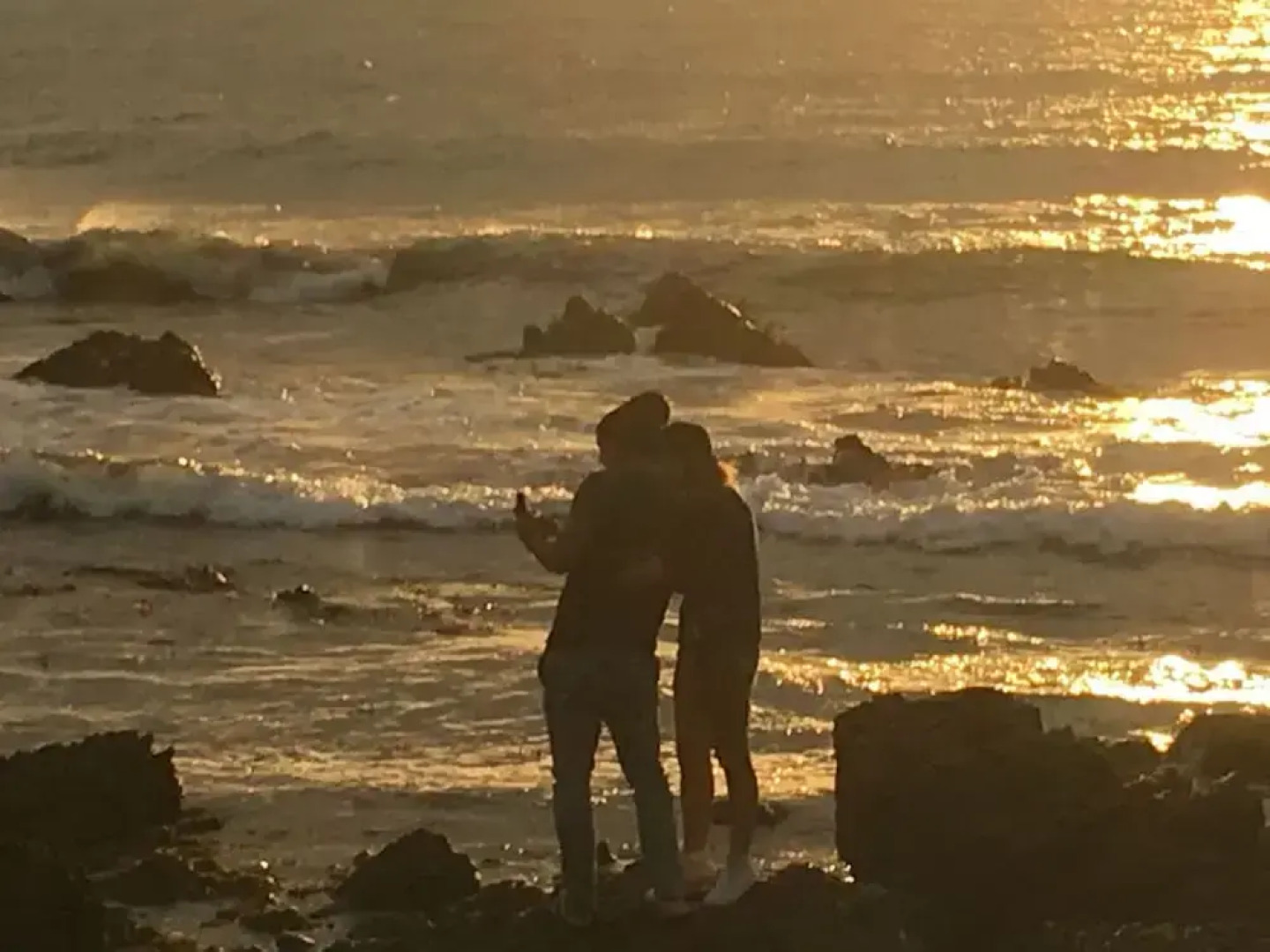 Wellington Beach Suite