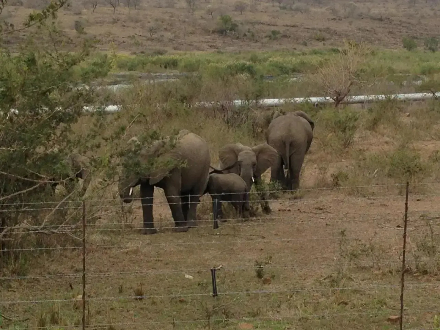 Villa Too Kruger Lodge