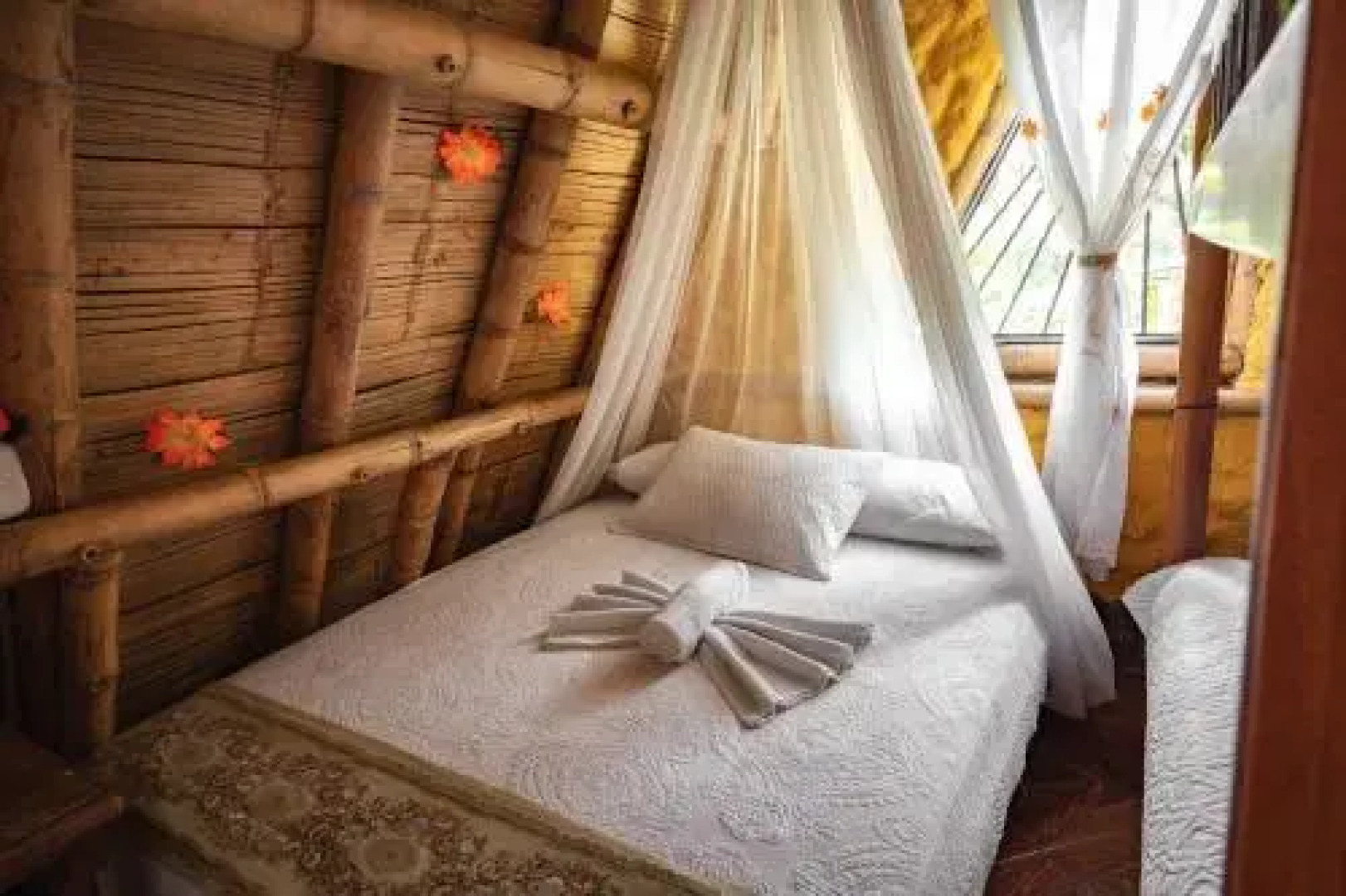 Centro Ecoturistico La Nohelia