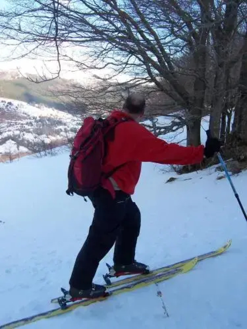 Auberge de Tournemire - Cantal
