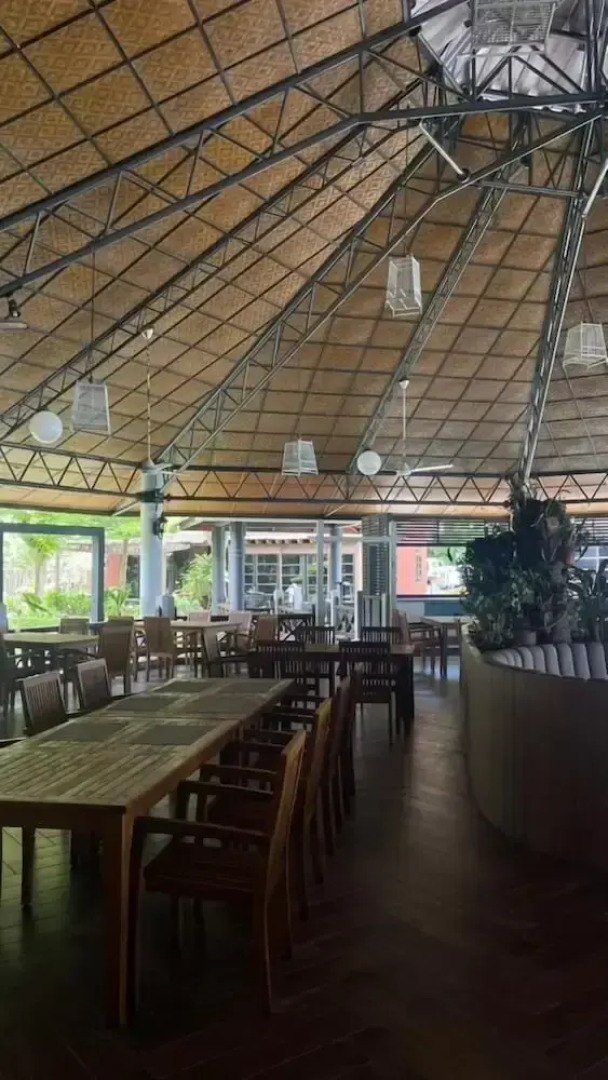 Arwana Perhentian Bluestar