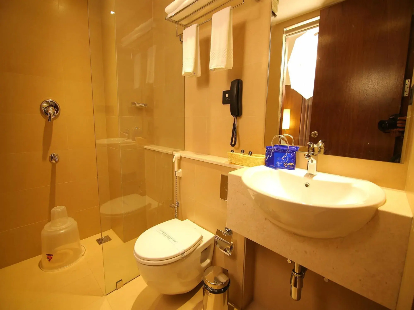 OYO 1686 Park Connect Hotel