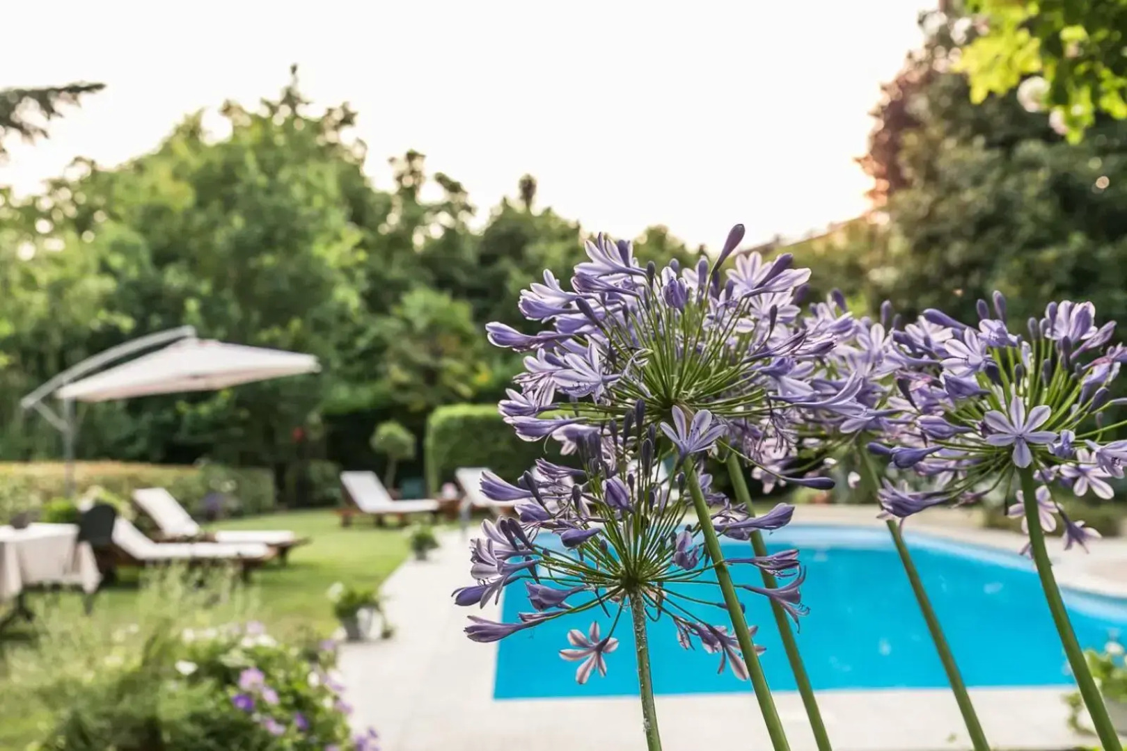 Ristorante Albergo Ca Vittoria