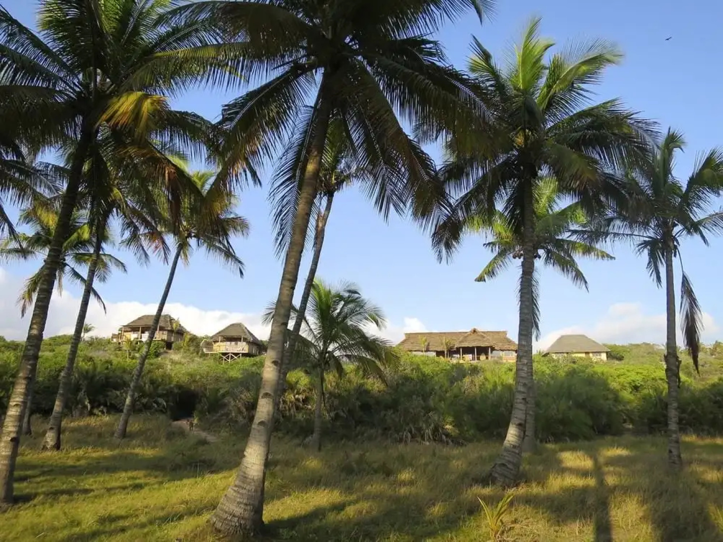 Travessia Beach Lodge