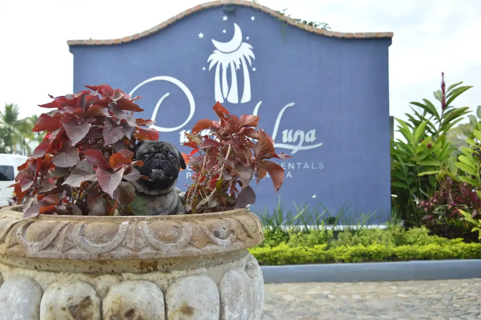 Puerto de Luna Pet Friendly & Family Suites Hotel