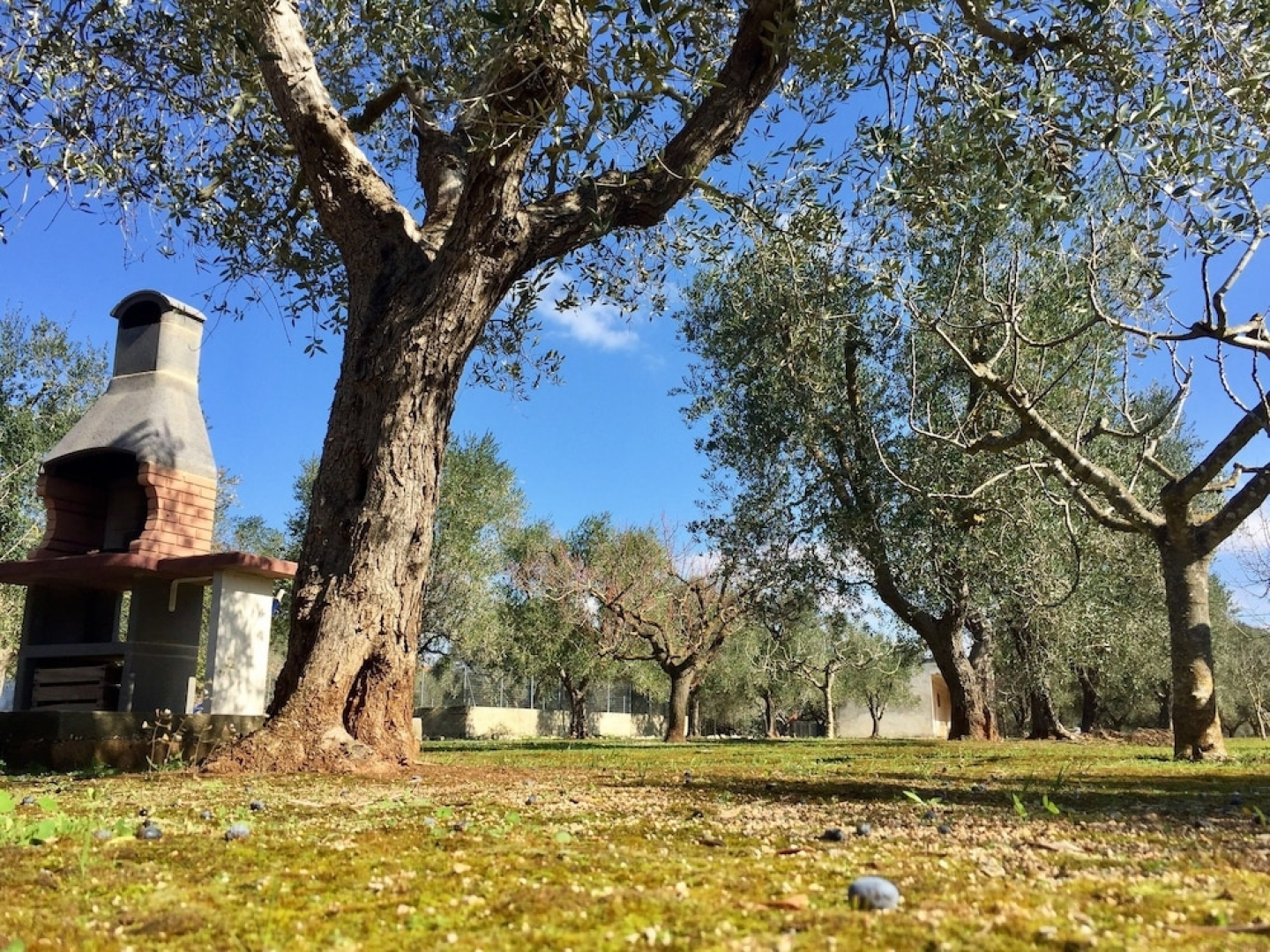 Sweet Home in Nature Reserve