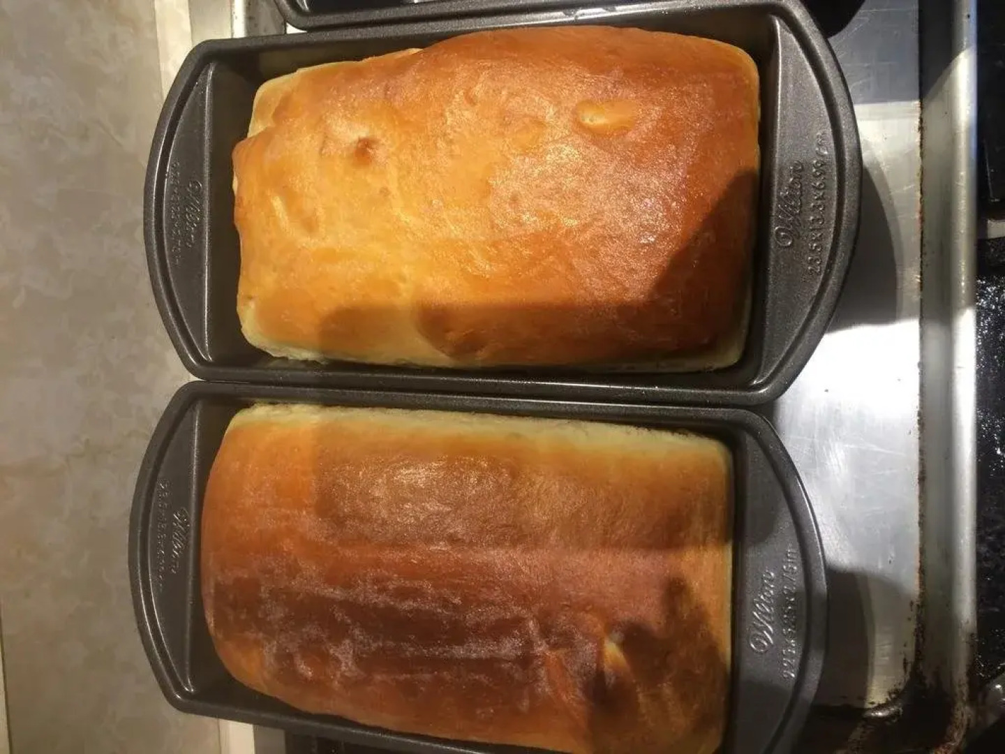 Fairbanks Moose Manor Bed and Breakfast