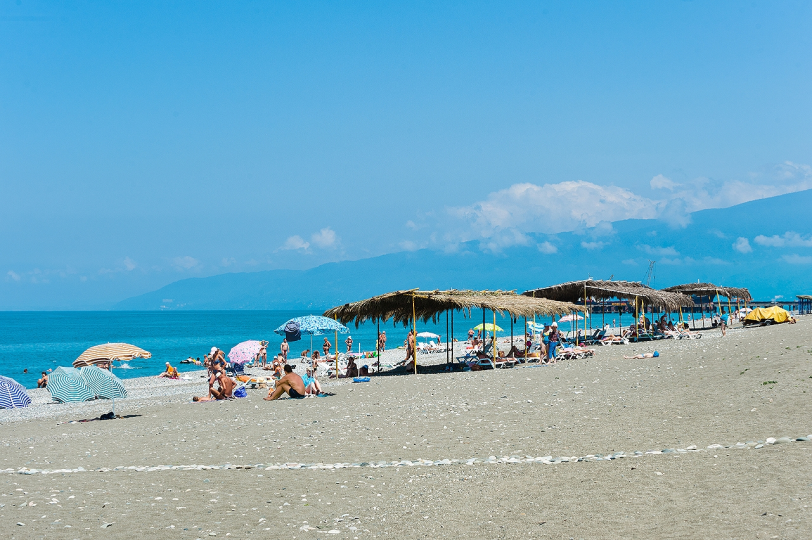 Сосновая роща (Пицунда)