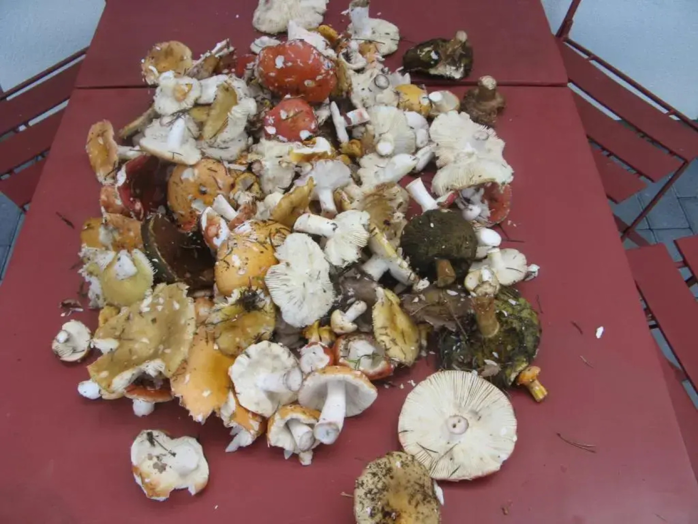 Holiday Home Lipno Frymburk