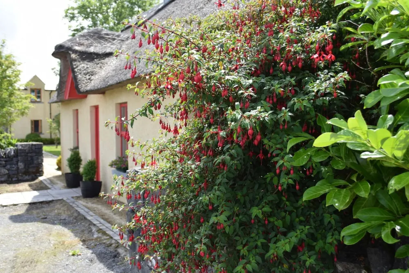 Burren Court