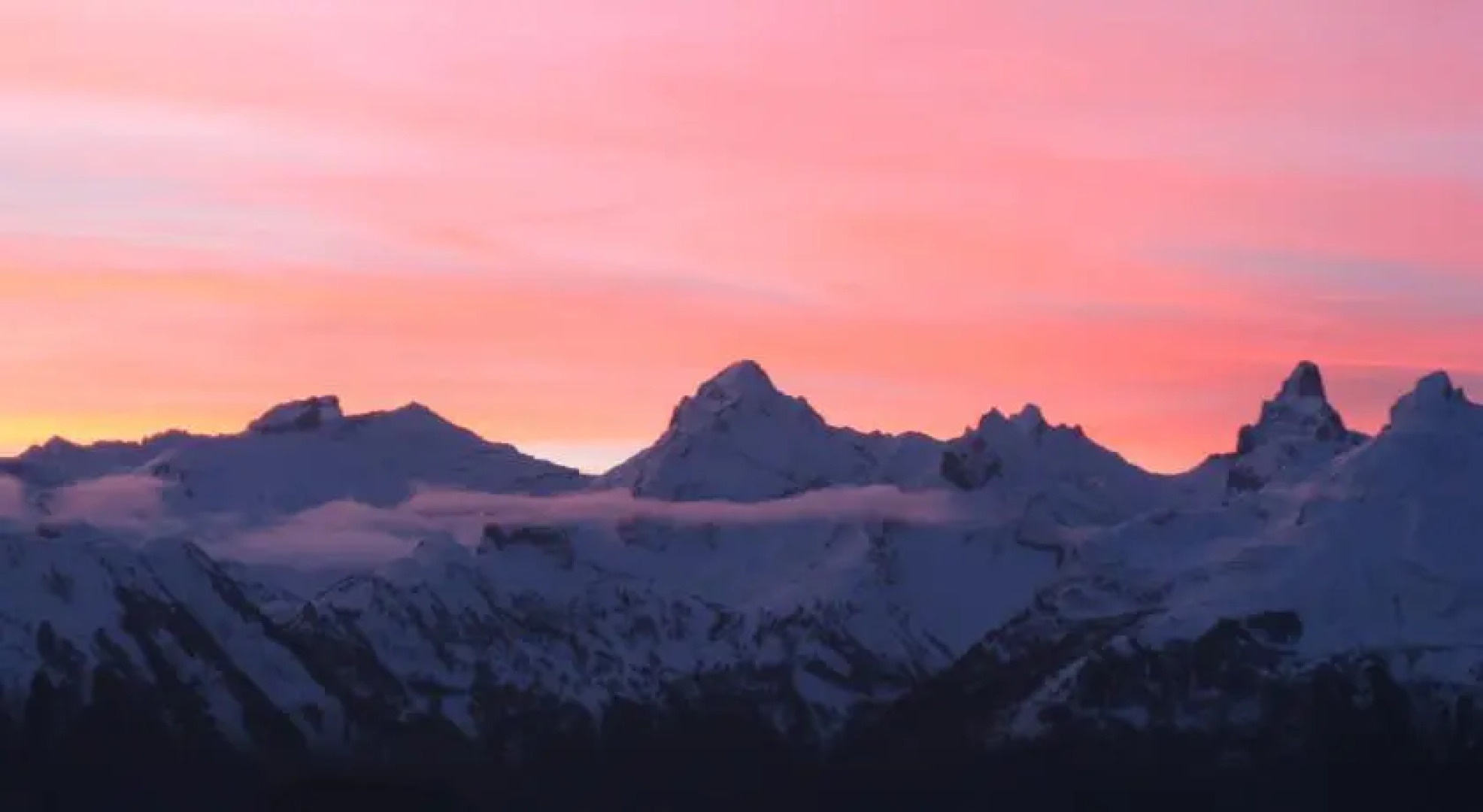 Appartements Royal 141