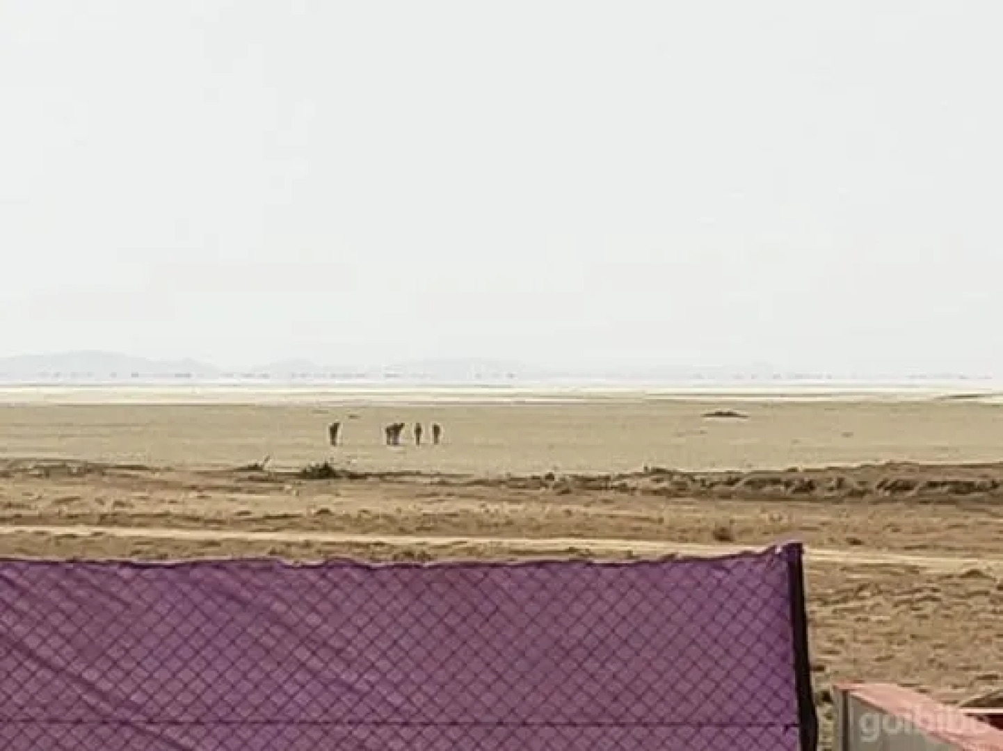 Rann Resort Dholavira