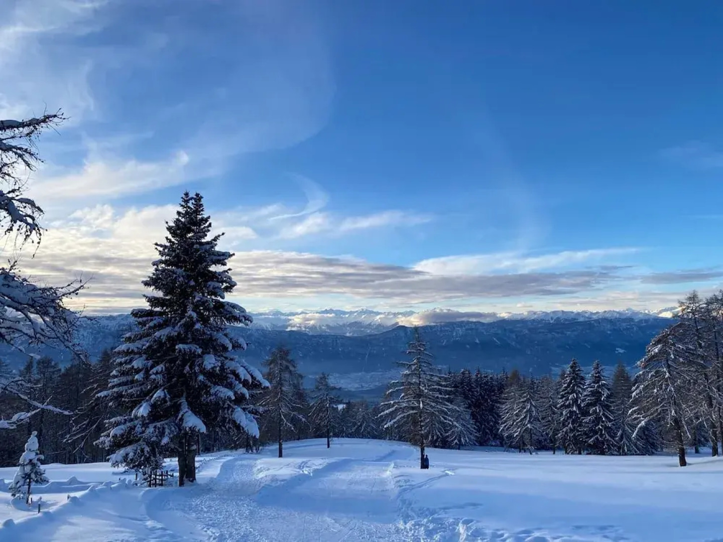 Michlhaus nature and suites