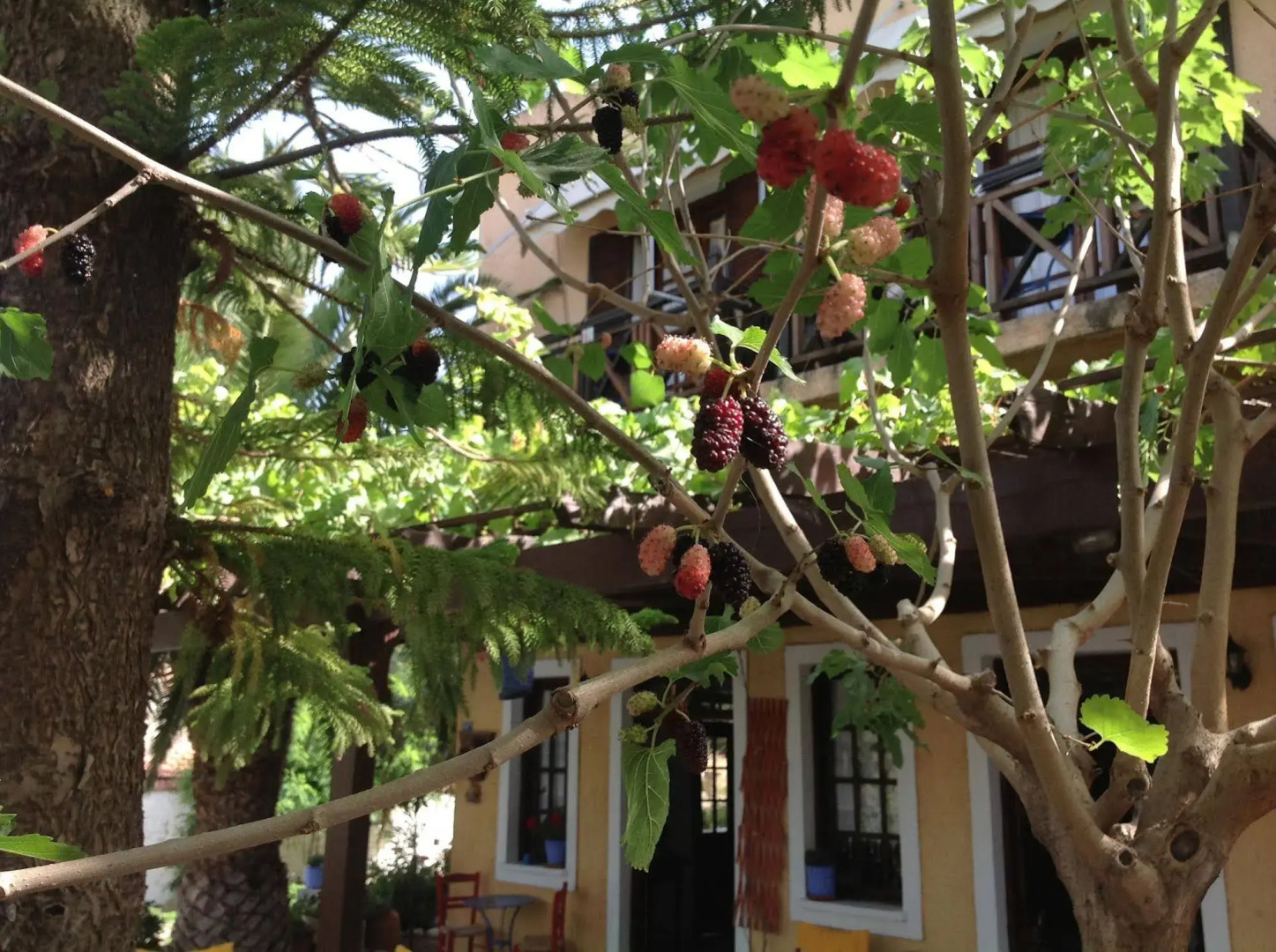 Vagia Traditional Hotel