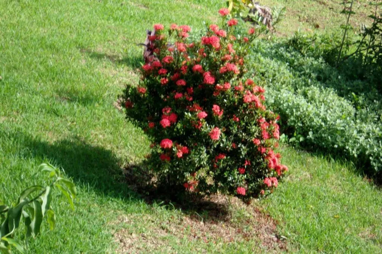 Spacieuse maison de vacances