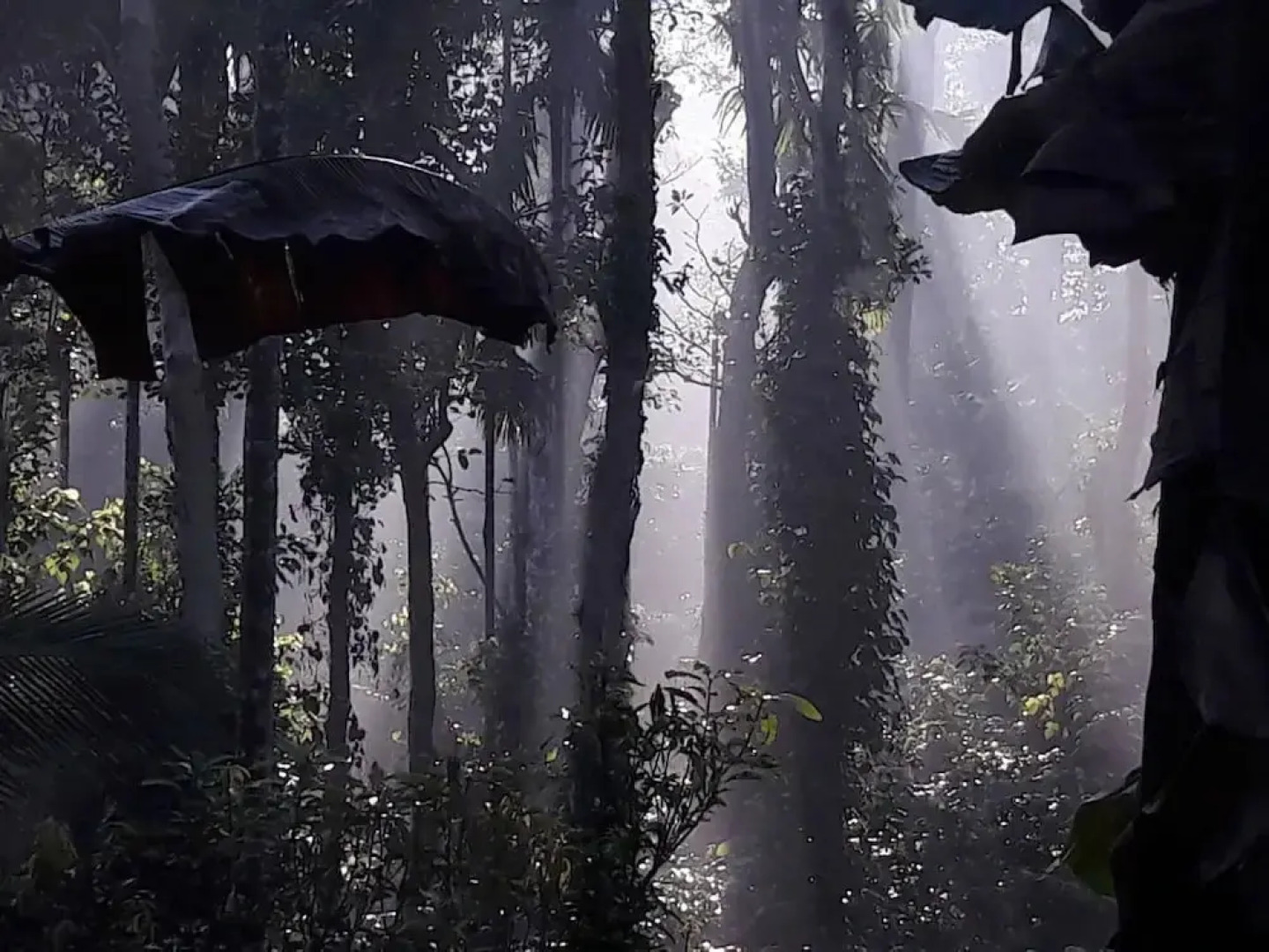 Room-wayanad Stay the Pepper Suite