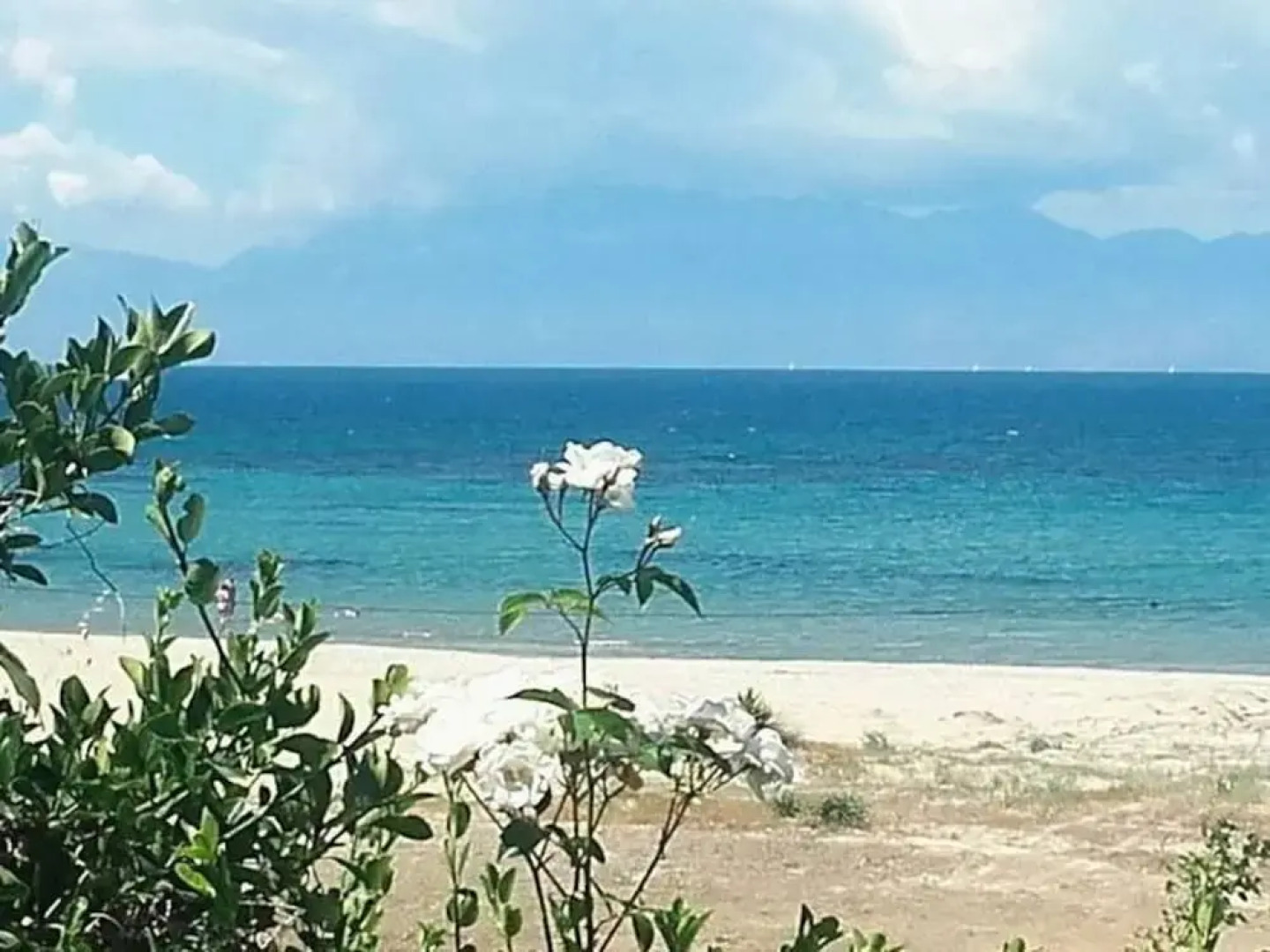 Traditional Cottage on the Hillside of Antiperni