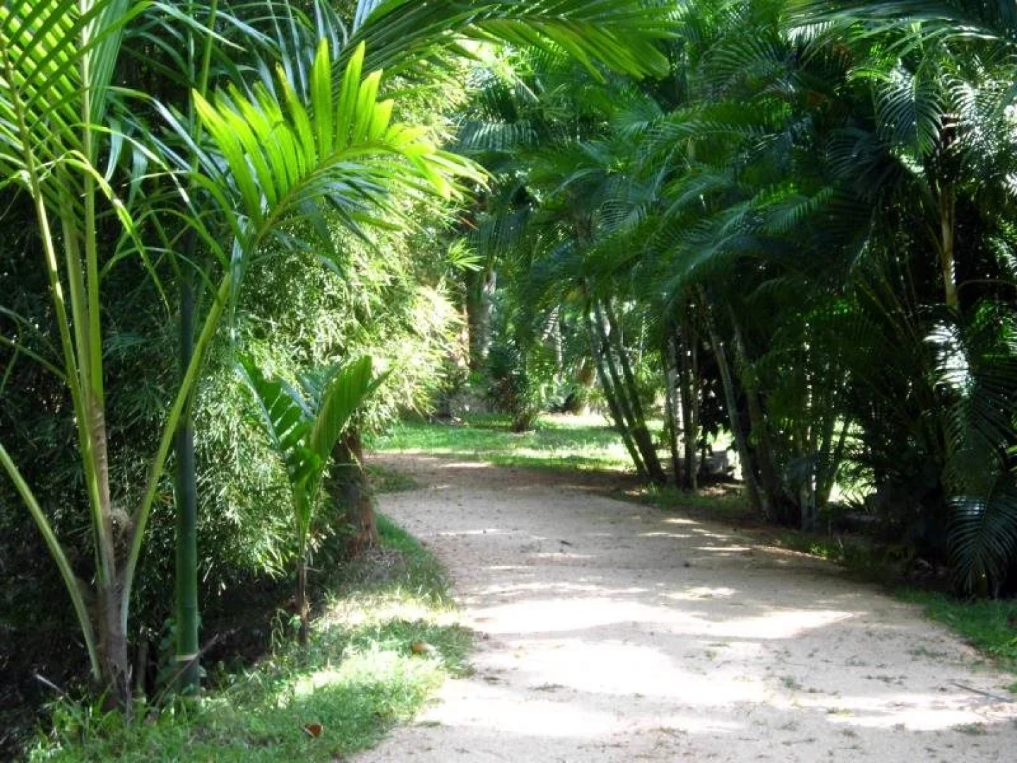 Soba Lanka Holiday Resort