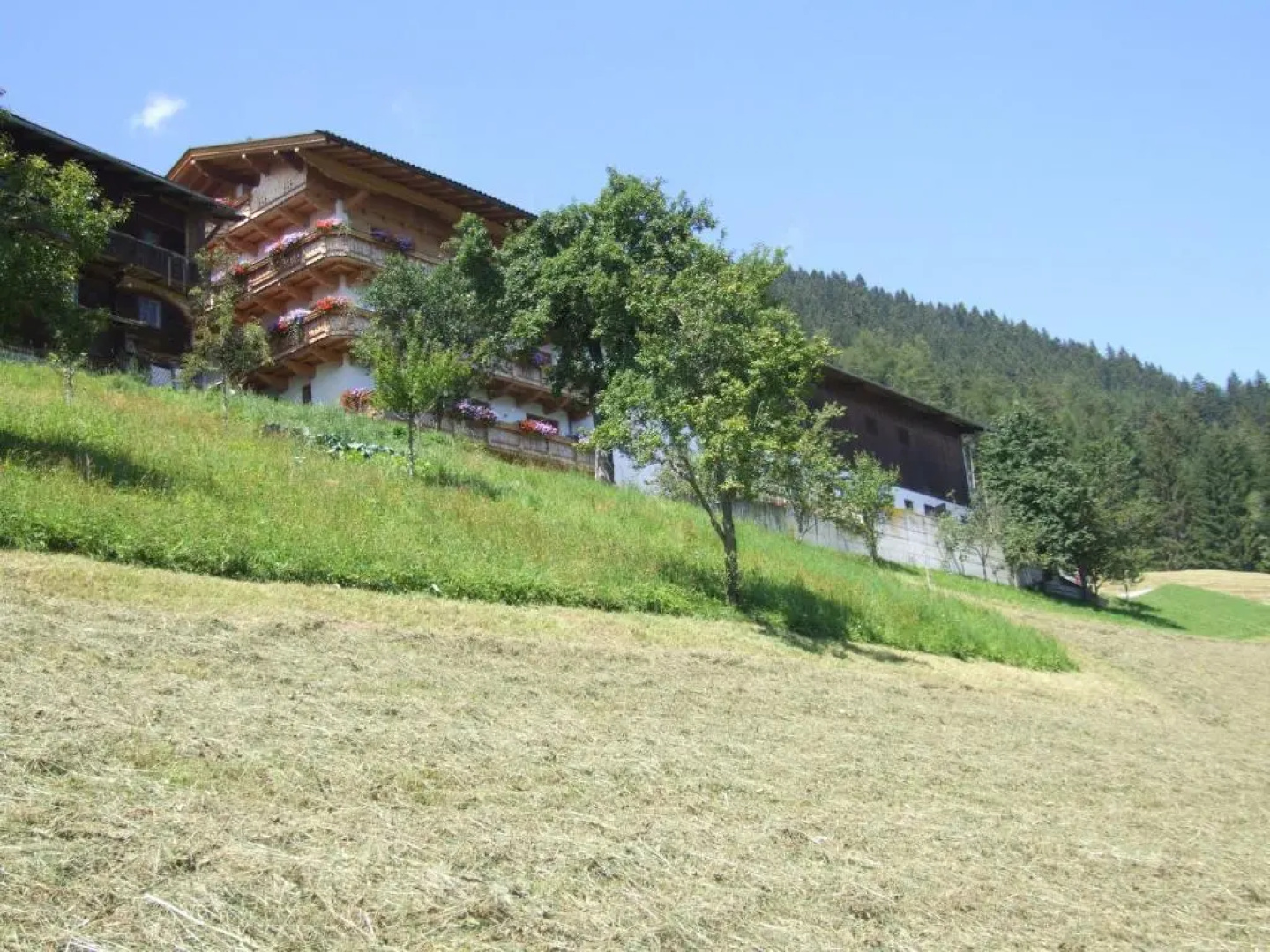 Ferienwohnung Lehenhof