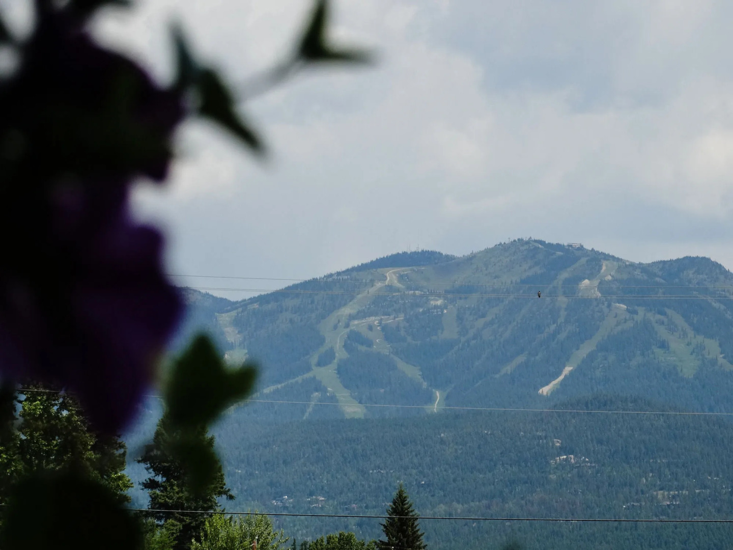 Chalet Motel Whitefish