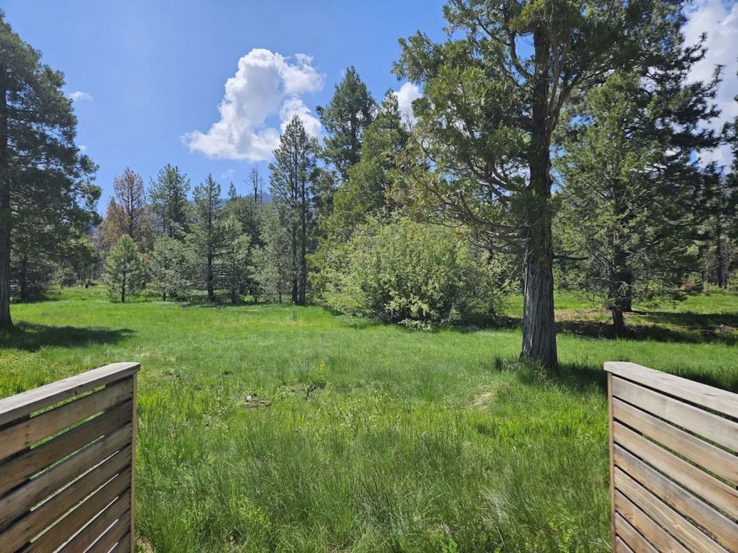 The Black Forest Lodge