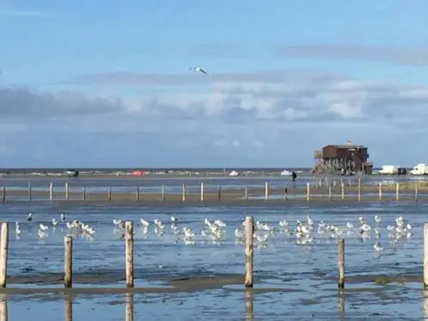 Hüs am Wall - Reetdachapartments - St. Peter Ording