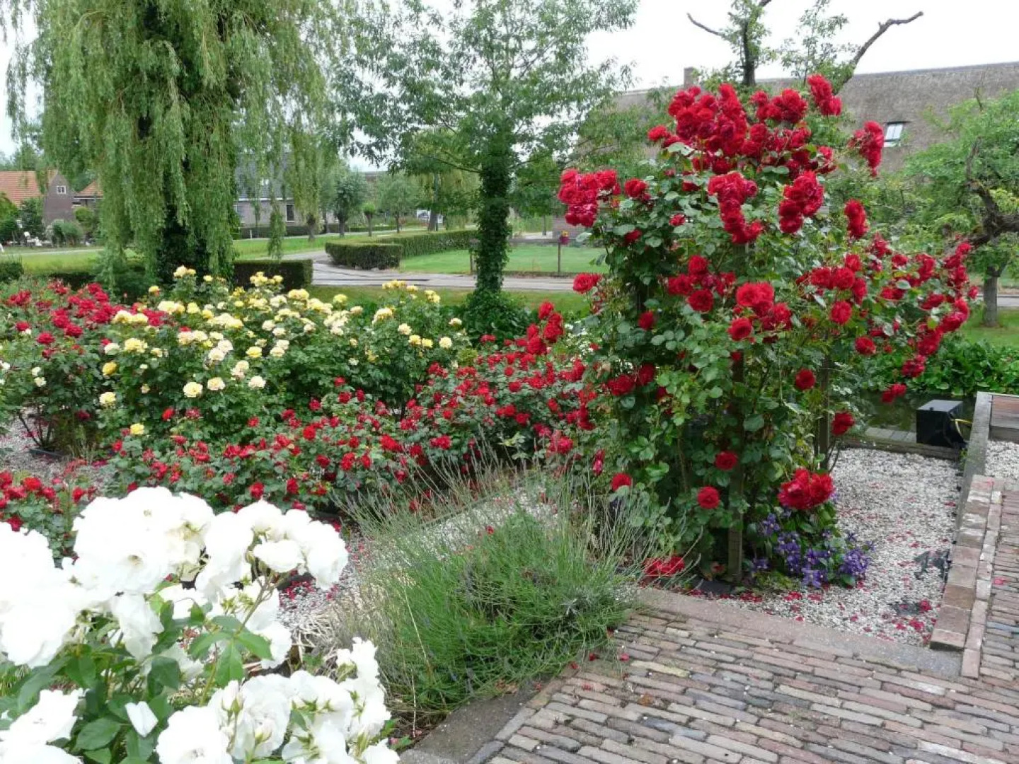 de Boomgaard Groene Hart