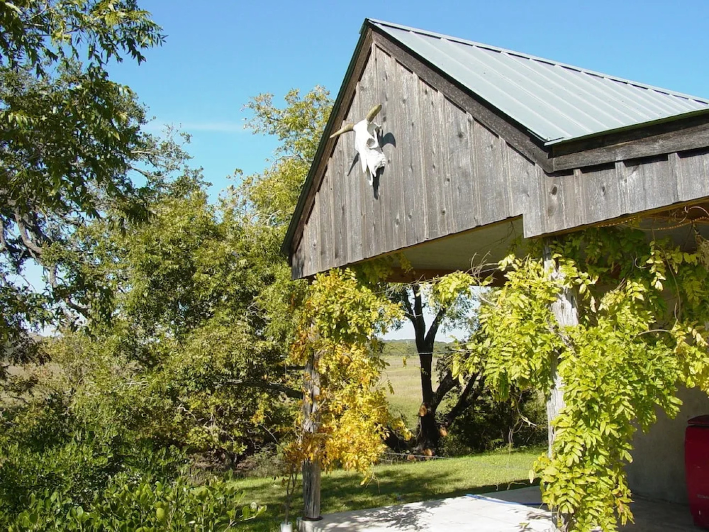 Back Forty of Fredericksburg