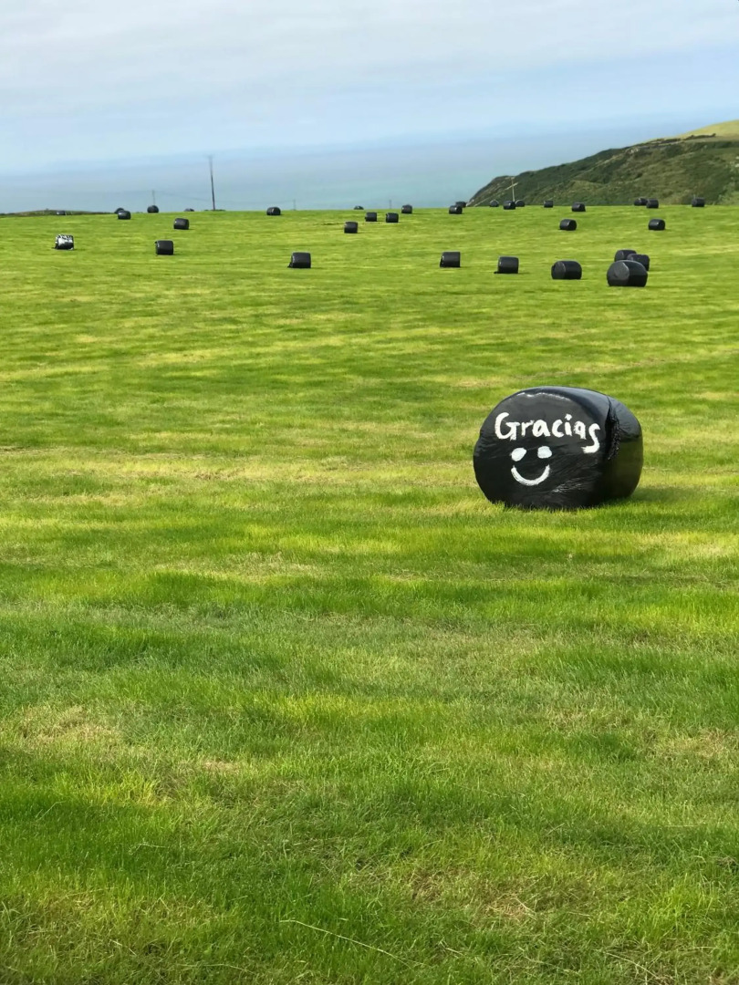 Lodge Cabin with Fabulous Views - Farm Holiday