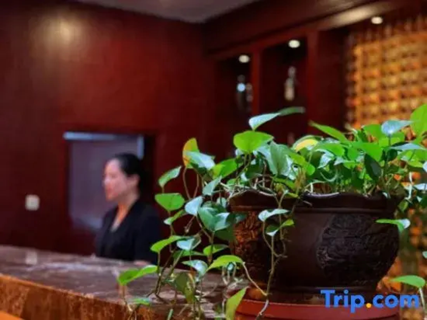 Double-Dove Peace International Hotel