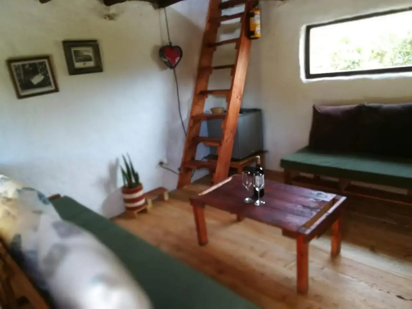 Jardin Colibri RNT 33633