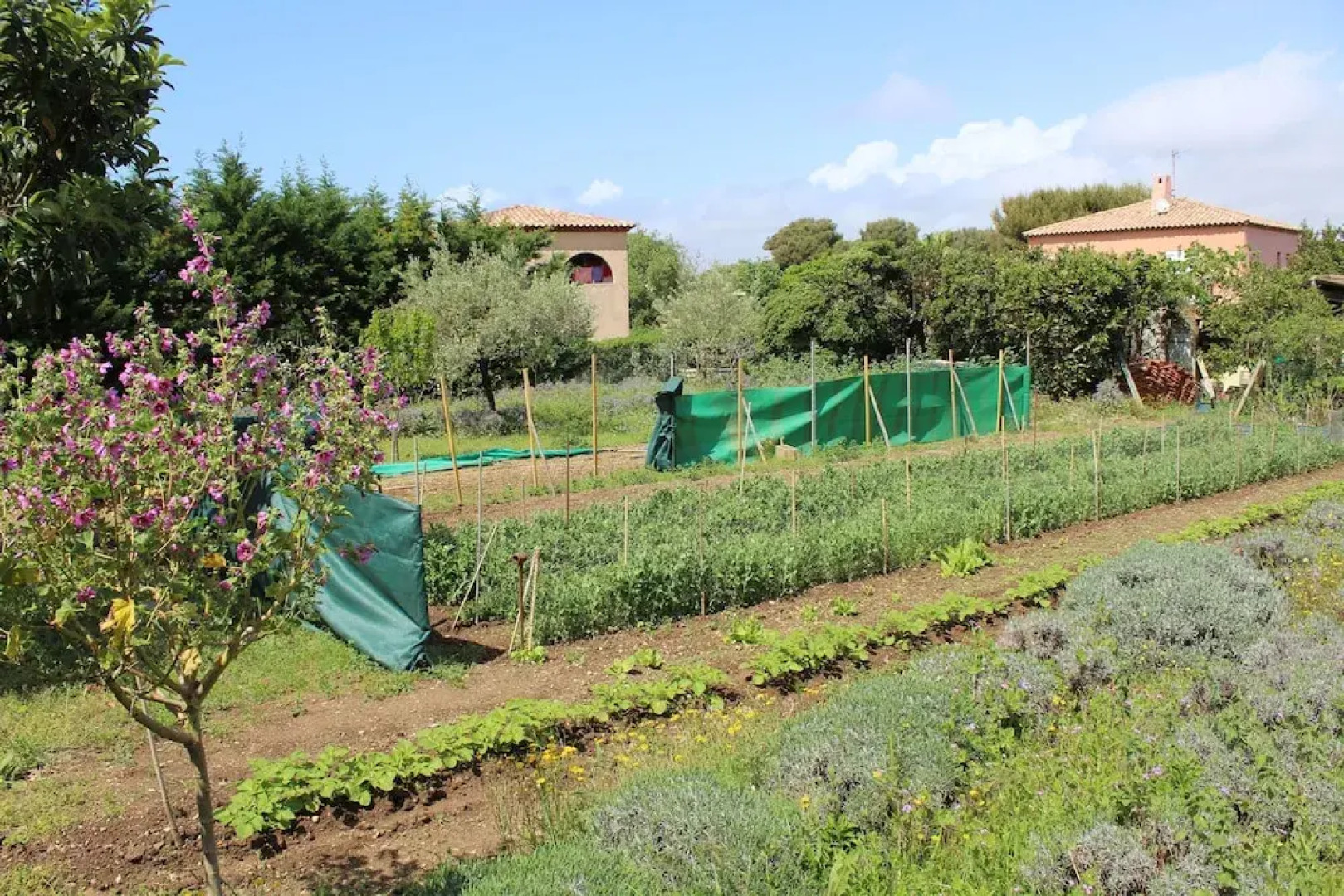 Au Chant des Cigalous