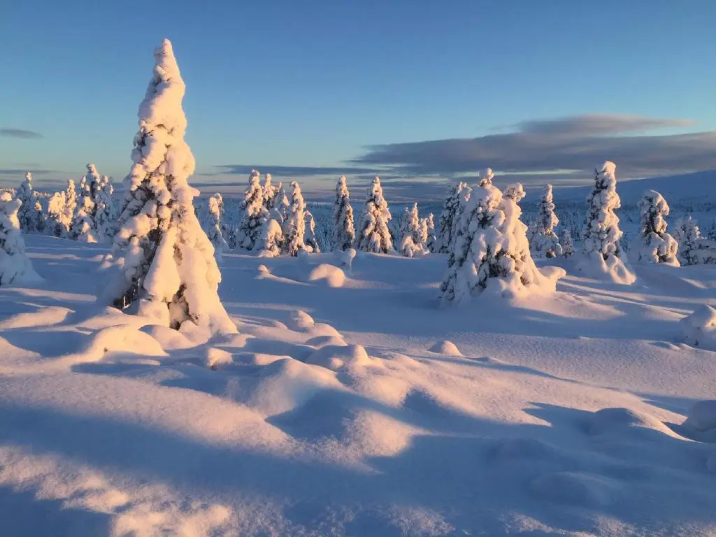 Pellestova Apartments