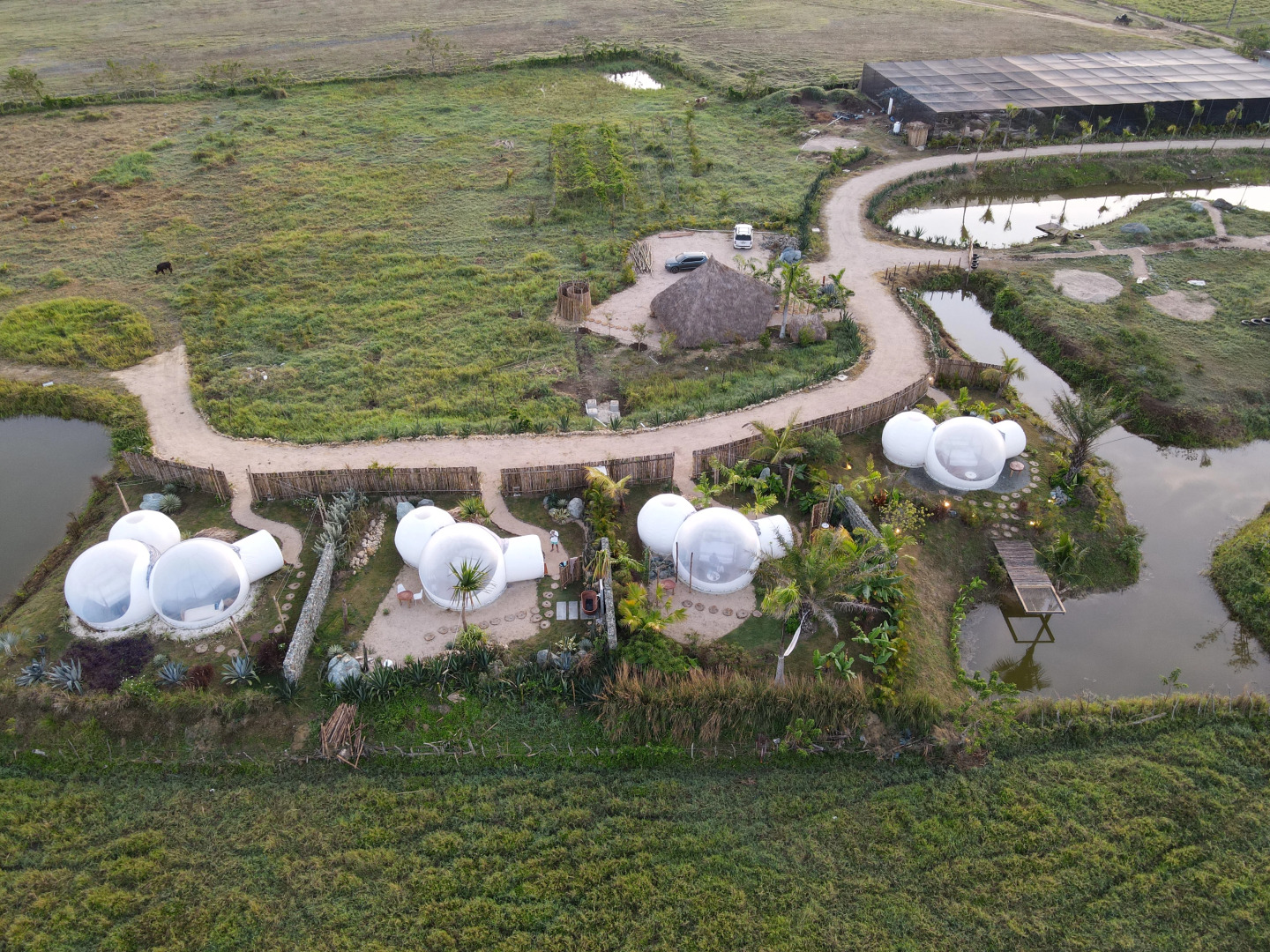 Green Land Bubble Glamping