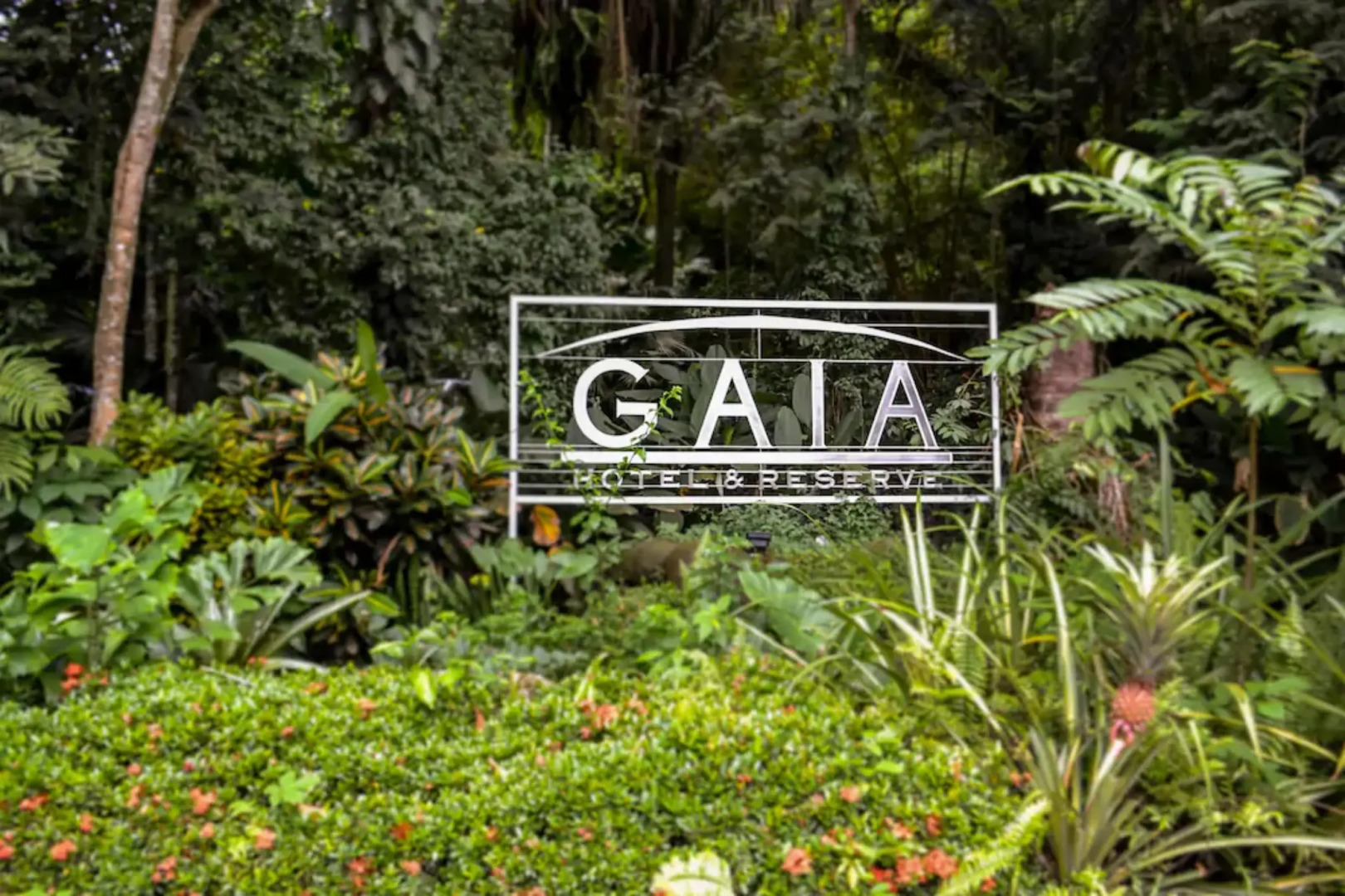 Gaia Hotel And Reserve