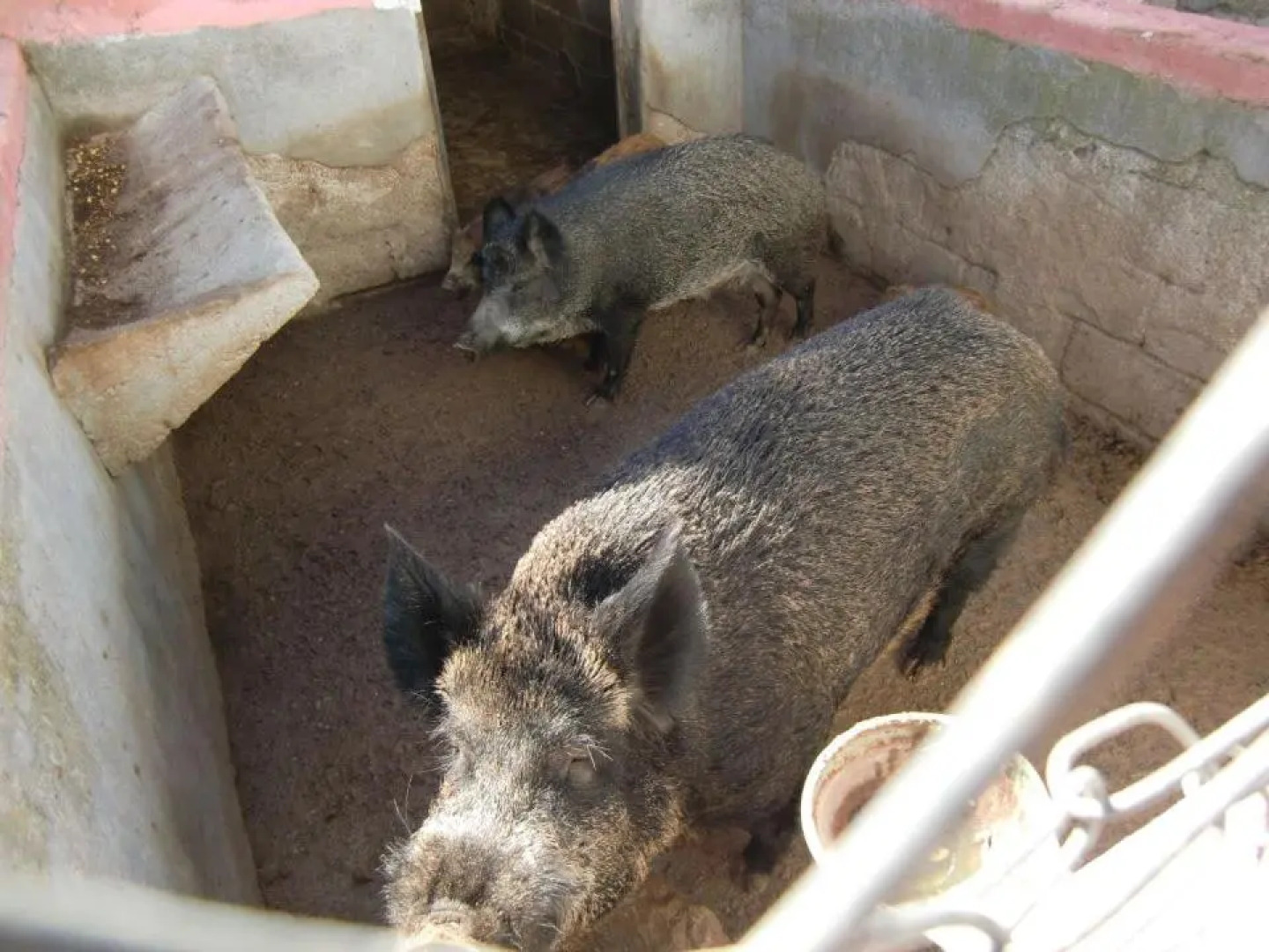 Agriturismo Costiolu