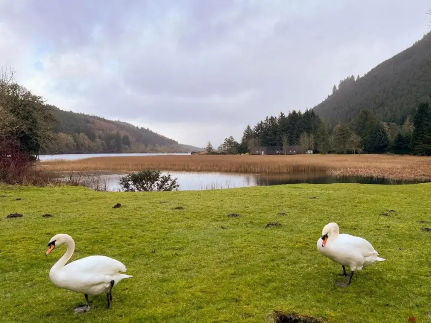 Glen View - UK37557